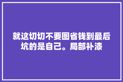 就这切切不要图省钱到最后坑的是自己。局部补漆