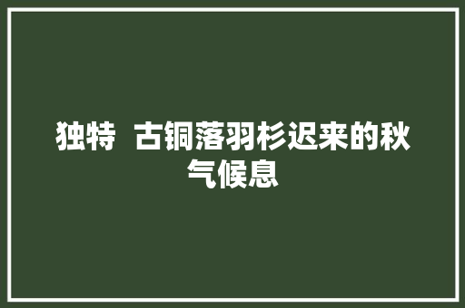 独特  古铜落羽杉迟来的秋气候息