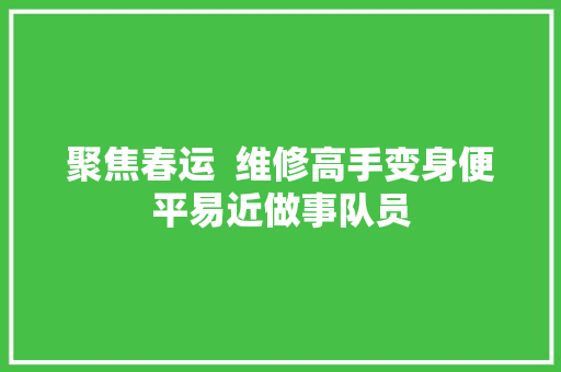 聚焦春运  维修高手变身便平易近做事队员