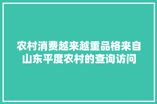 农村消费越来越重品格来自山东平度农村的查询访问