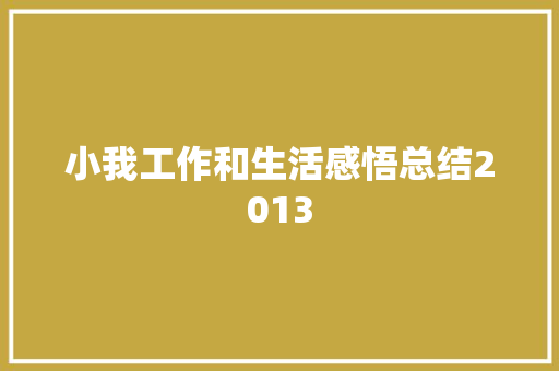 小我工作和生活感悟总结2013