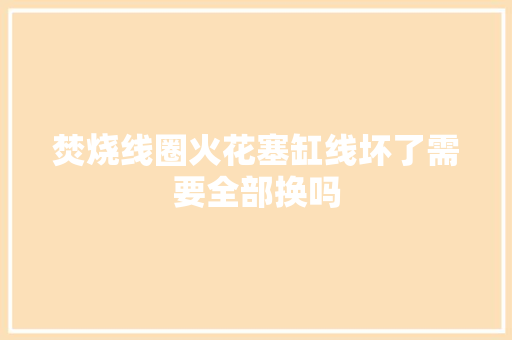 焚烧线圈火花塞缸线坏了需要全部换吗