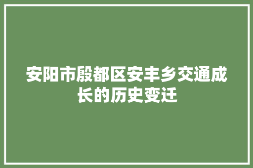 安阳市殷都区安丰乡交通成长的历史变迁 汽车知识