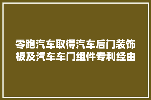 零跑汽车取得汽车后门装饰板及汽车车门组件专利经由进程一体式结构避免震动和噪音