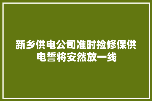 新乡供电公司准时捡修保供电誓将安然放一线