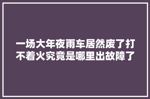一场大年夜雨车居然废了打不着火究竟是哪里出故障了
