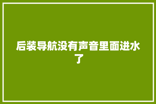 后装导航没有声音里面进水了