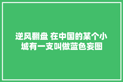 逆风翻盘 在中国的某个小城有一支叫做蓝色妄图