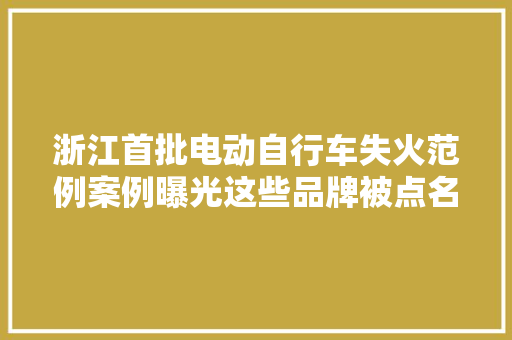 浙江首批电动自行车失火范例案例曝光这些品牌被点名