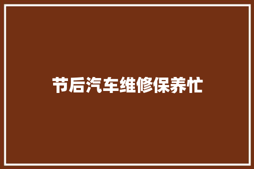 节后汽车维修保养忙