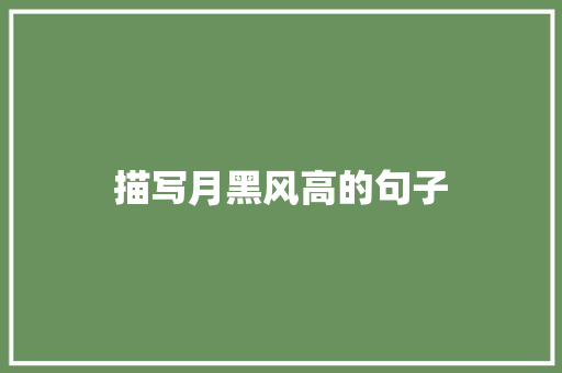 描写月黑风高的句子