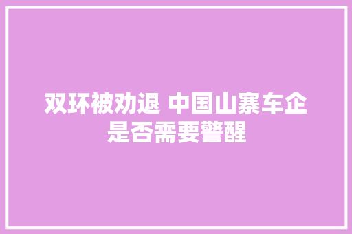 双环被劝退 中国山寨车企是否需要警醒