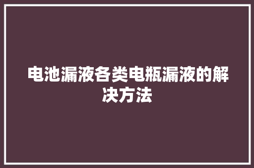 电池漏液各类电瓶漏液的解决方法