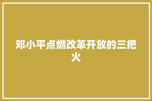 邓小平点燃改革开放的三把火