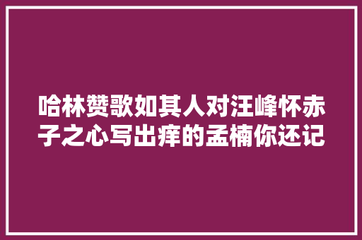 哈林赞歌如其人对汪峰怀赤子之心写出痒的孟楠你还记得吗