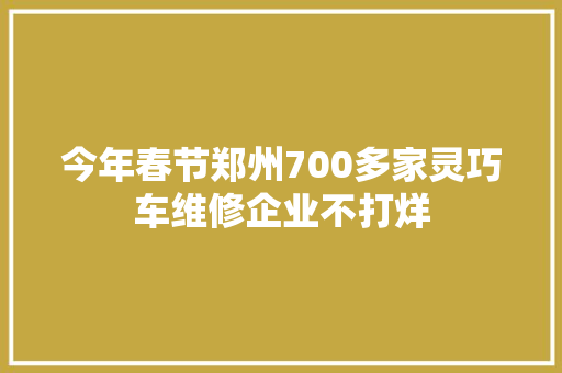 今年春节郑州700多家灵巧车维修企业不打烊