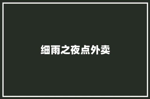 细雨之夜点外卖