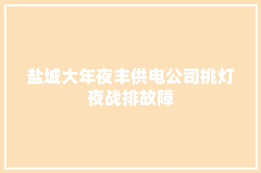 盐城大年夜丰供电公司挑灯夜战排故障 汽车知识