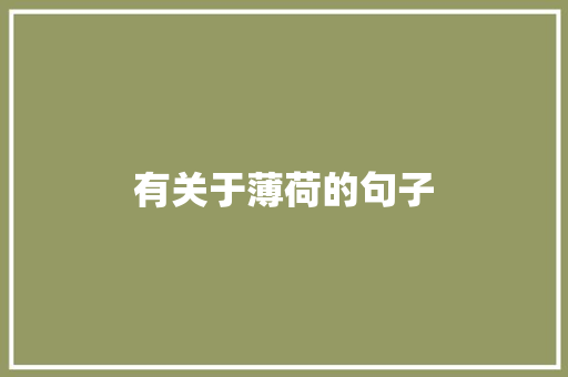 有关于薄荷的句子