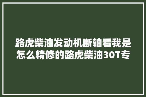 路虎柴油发动机断轴看我是怎么精修的路虎柴油30T专修 汽车知识