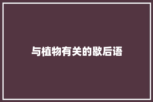 与植物有关的歇后语