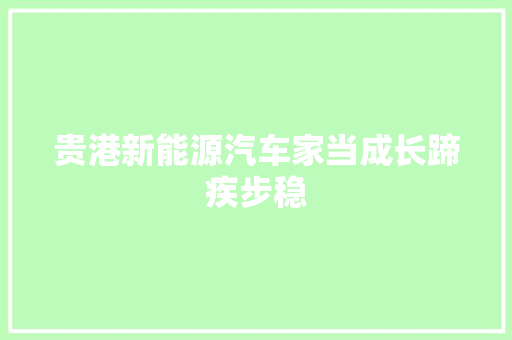贵港新能源汽车家当成长蹄疾步稳