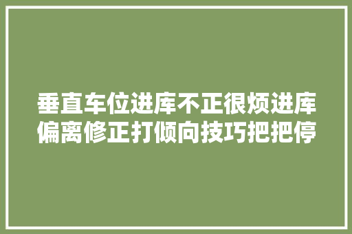 垂直车位进库不正很烦进库偏离修正打倾向技巧把把停准就靠它