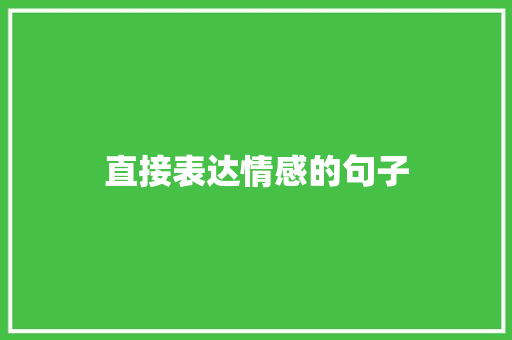 直接表达情感的句子