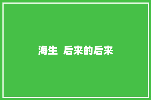 海生  后来的后来