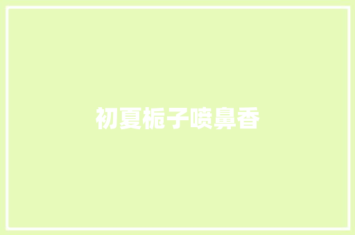初夏栀子喷鼻香