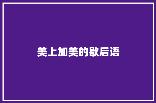 美上加美的歇后语