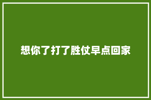 想你了打了胜仗早点回家