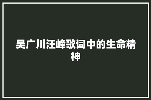 吴广川汪峰歌词中的生命精神