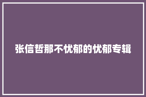张信哲那不忧郁的忧郁专辑