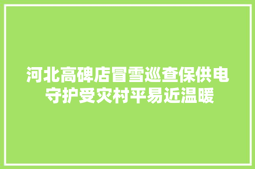 河北高碑店冒雪巡查保供电 守护受灾村平易近温暖