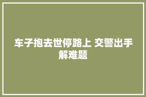 车子抱去世停路上 交警出手解难题 汽车知识