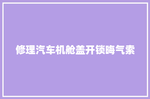修理汽车机舱盖开锁晦气索