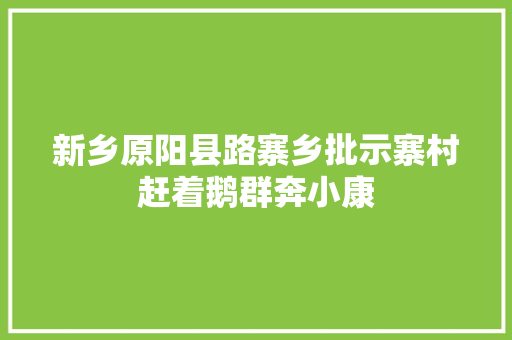 新乡原阳县路寨乡批示寨村赶着鹅群奔小康
