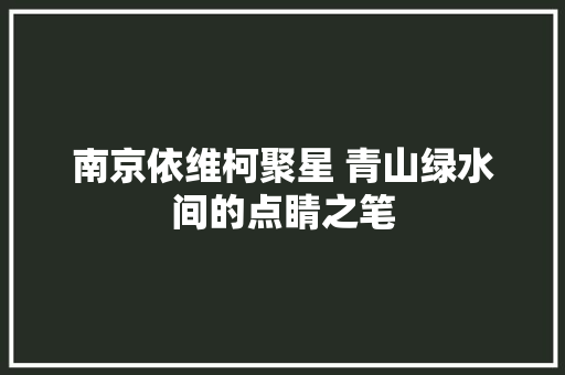 南京依维柯聚星 青山绿水间的点睛之笔