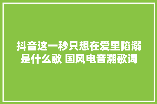 抖音这一秒只想在爱里陷溺是什么歌 国风电音溯歌词