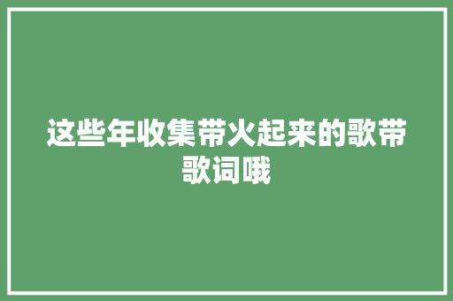 这些年收集带火起来的歌带歌词哦