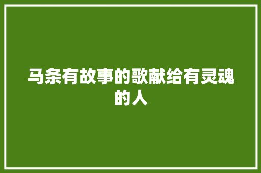 马条有故事的歌献给有灵魂的人