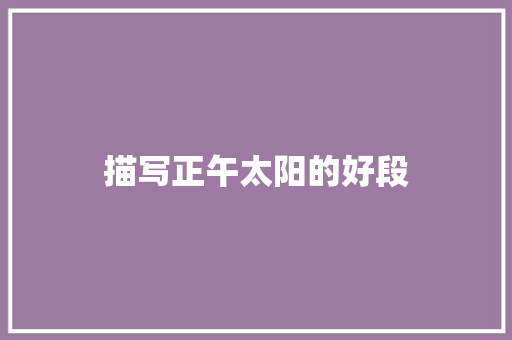 描写正午太阳的好段