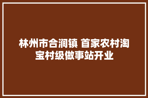 林州市合涧镇 首家农村淘宝村级做事站开业