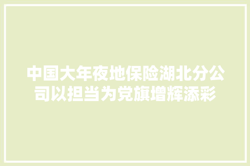 中国大年夜地保险湖北分公司以担当为党旗增辉添彩