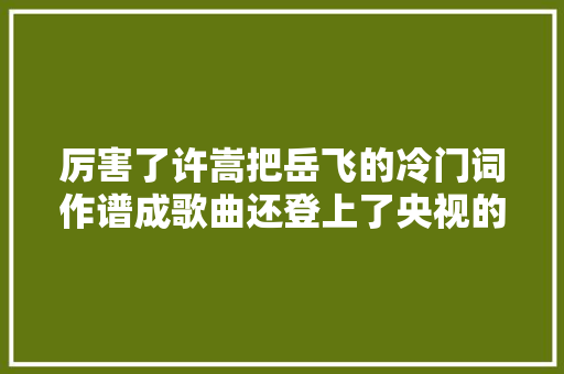 厉害了许嵩把岳飞的冷门词作谱成歌曲还登上了央视的舞台
