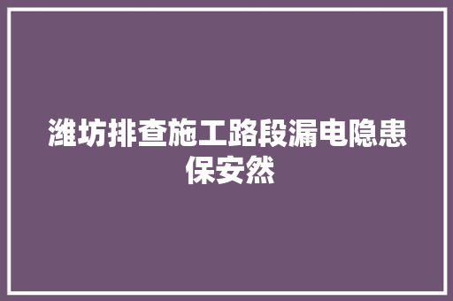 潍坊排查施工路段漏电隐患 保安然