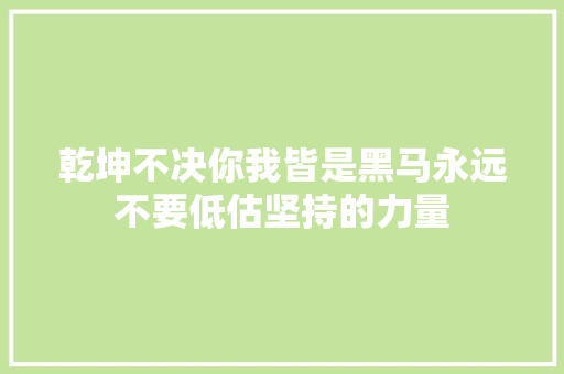 乾坤不决你我皆是黑马永远不要低估坚持的力量 休闲娱乐