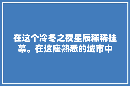 在这个冷冬之夜星辰稀稀挂幕。在这座熟悉的城市中