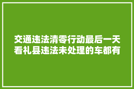 交通违法清零行动最后一天看礼县违法未处理的车都有哪些